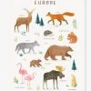 Affiche Animaux D'Europe Living Earth LILIPINSO Marron - Lilipinso -Vertbaudet Shop affiche animaux deurope living earth lilipinso