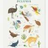 Affiche Animaux D'Océanie Living Earth LILIPINSO Marron - Lilipinso -Vertbaudet Shop affiche animaux doceanie living earth lilipinso