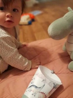 Coffret Lampe Nomade 5 En 1 Dinosauria MAISON POLOCHON Vert Sauge - Polochon -Vertbaudet Shop coffret lampe nomade 5 en 1 dinosauria maison polochon 2